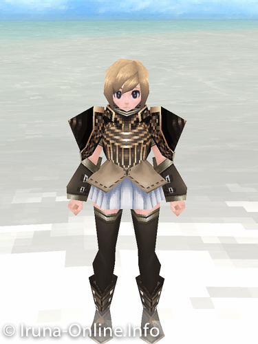 item_image_Heavy Plate (Strengthened 1)