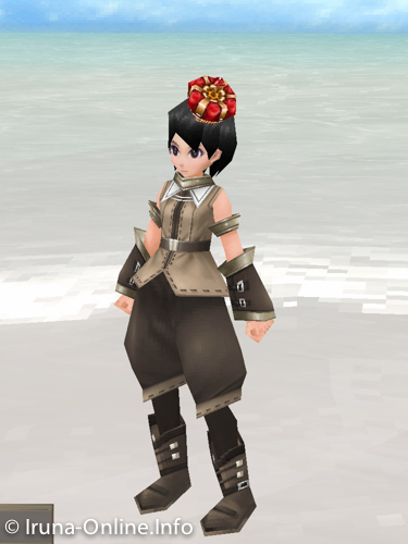 item_image_Hero Crown