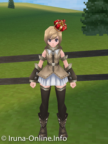 item_image_Hero Crown