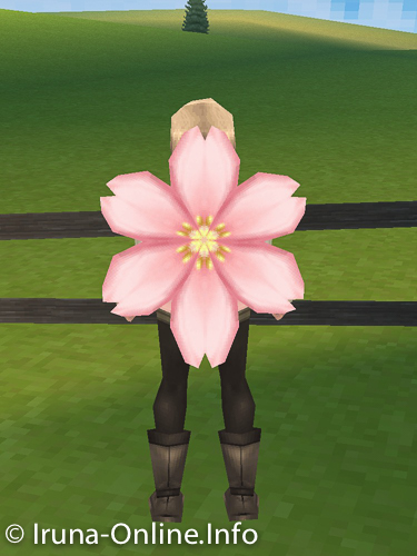 item_image_Huge Cherry Blossom