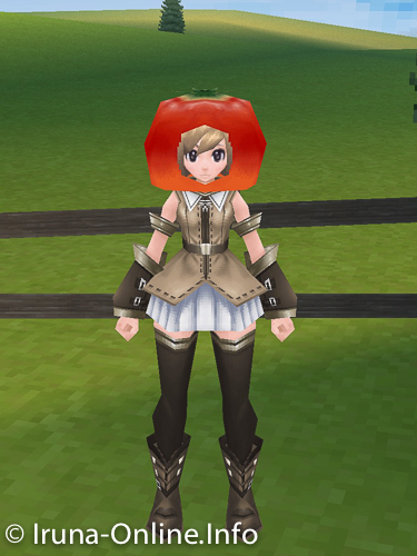 item_image_Tomato Head